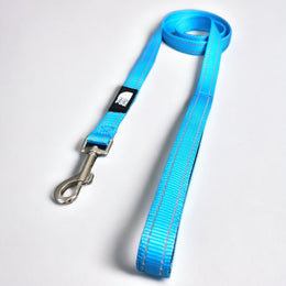 The Dog Face Reflective Leash - Blue