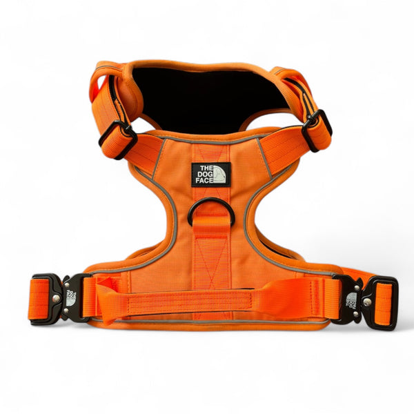 Superior Tactical Dog Harness - Orange