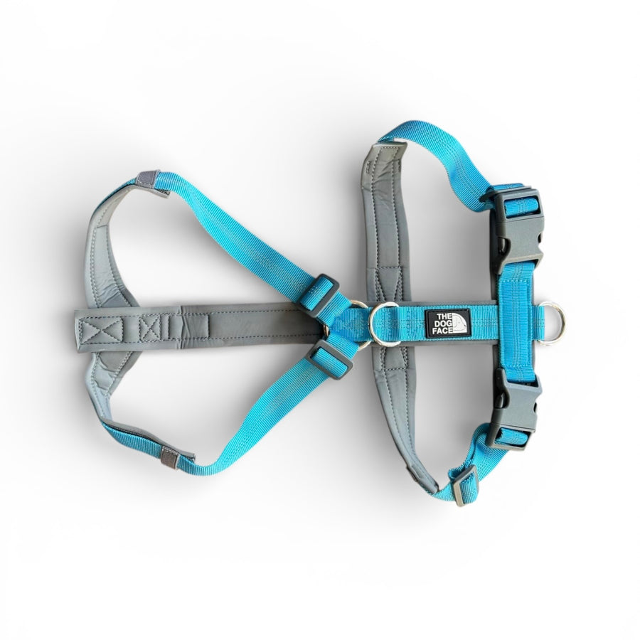 Dog harnesses for everyday walks