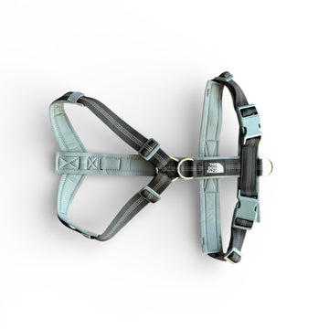 Reflective ‘No Pull’ Harness - Black