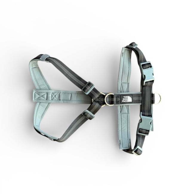 Reflective ‘No Pull’ Harness - Black