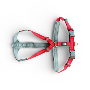 Reflective ‘No Pull’ Harness - Red