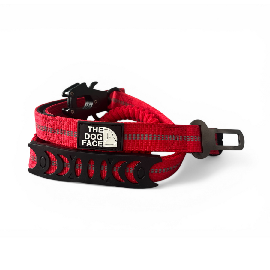 Dog leashes and leads