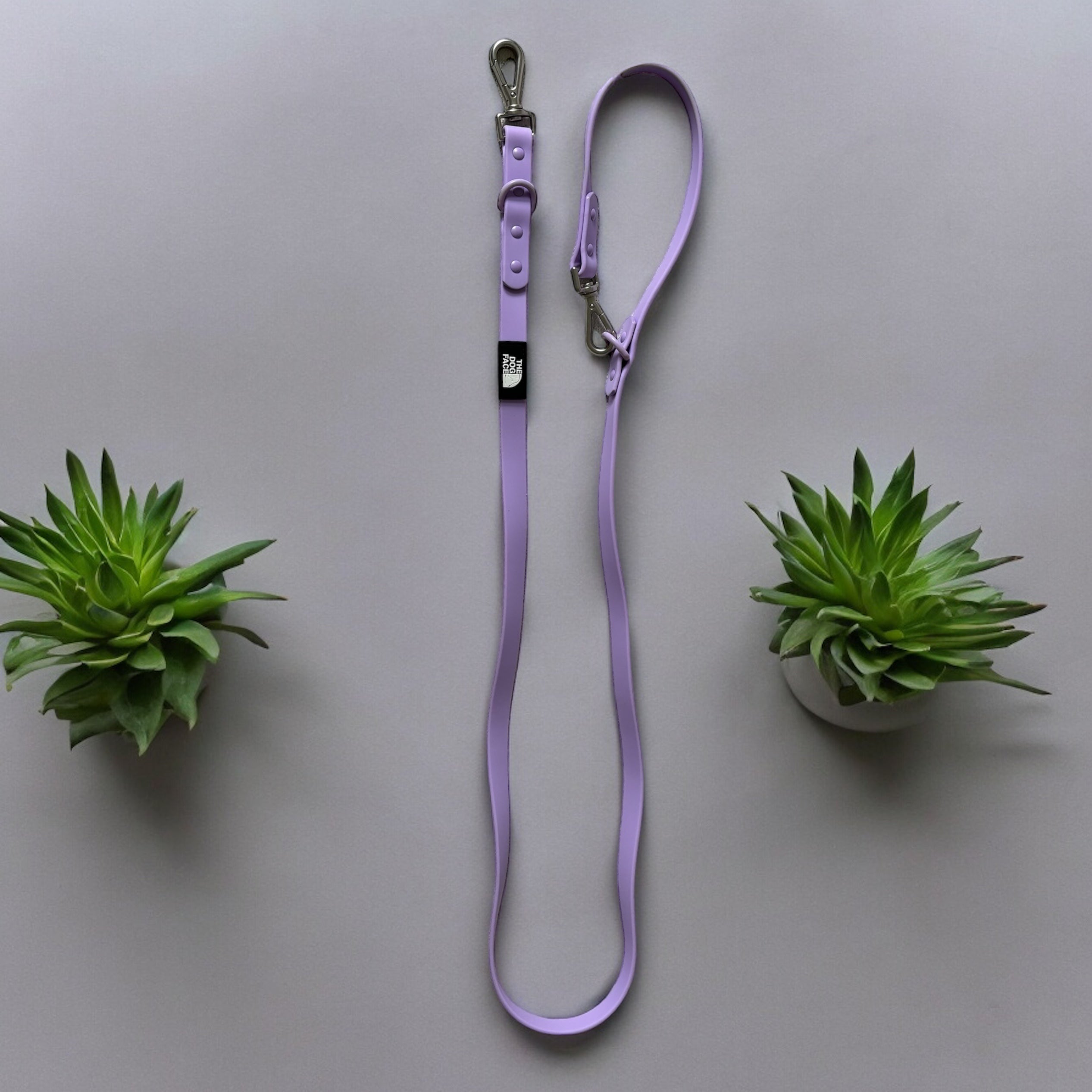 Leads and leashes