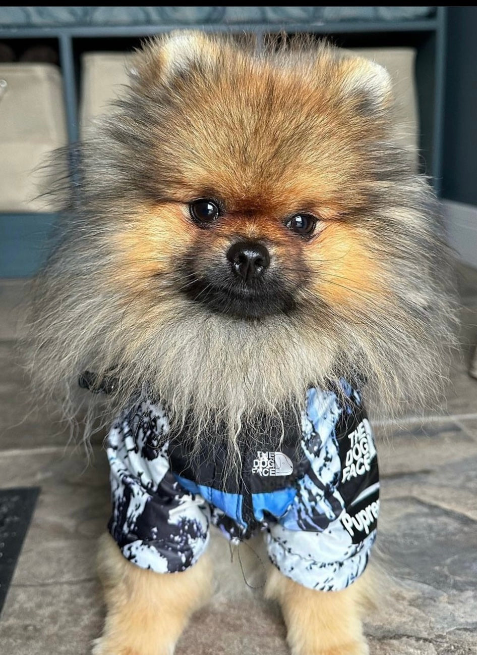 The Dog Face Jacket Black / Mountain Wind / Rain Proof Dog Clothing