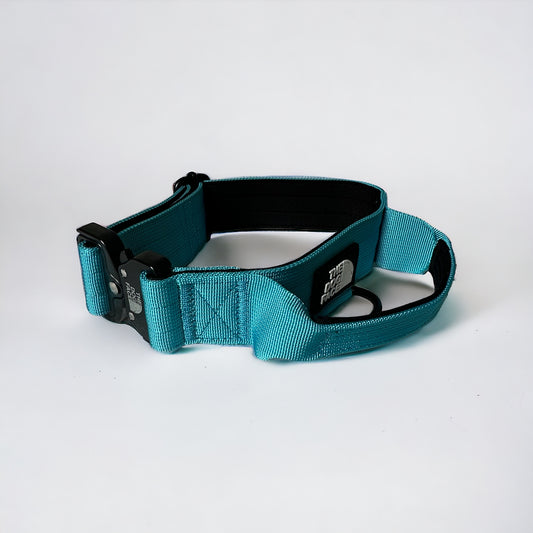 ‘Superior' Tactical Dog Collar - Aquamarine Blue