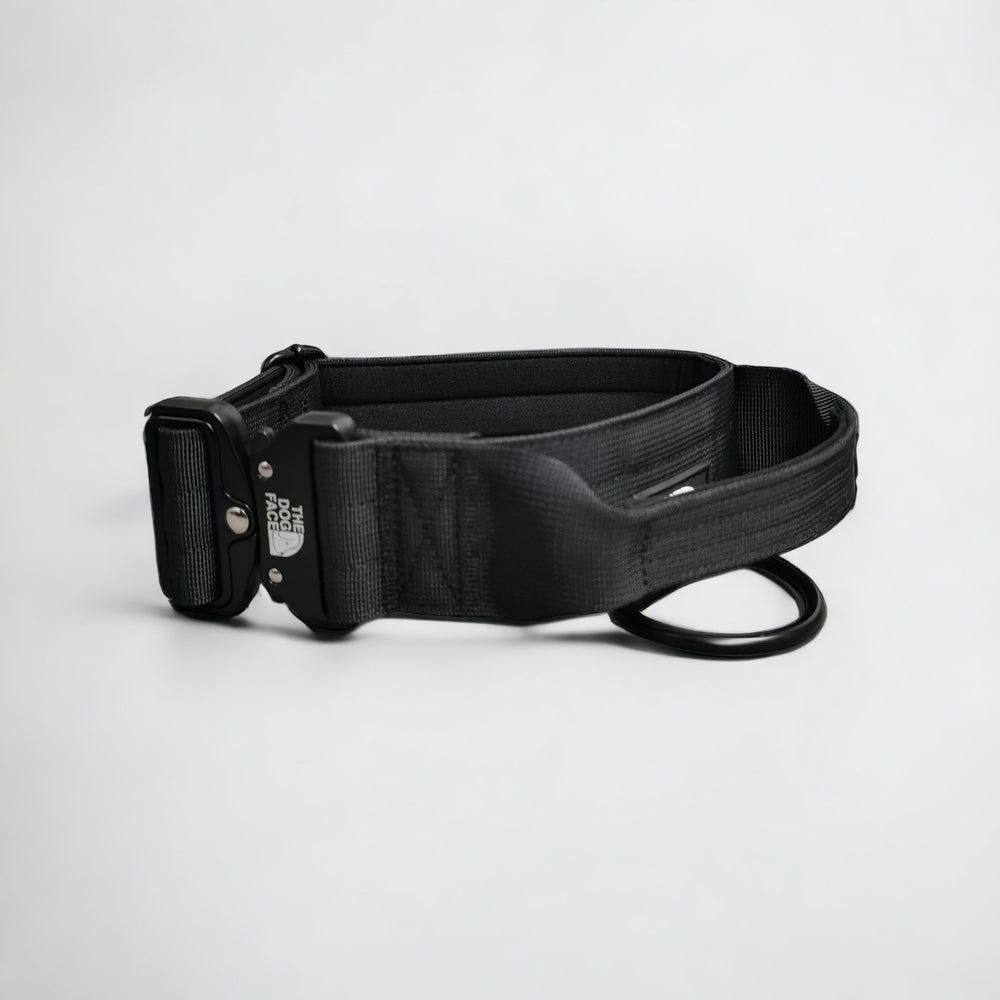 Tactical dog training gear