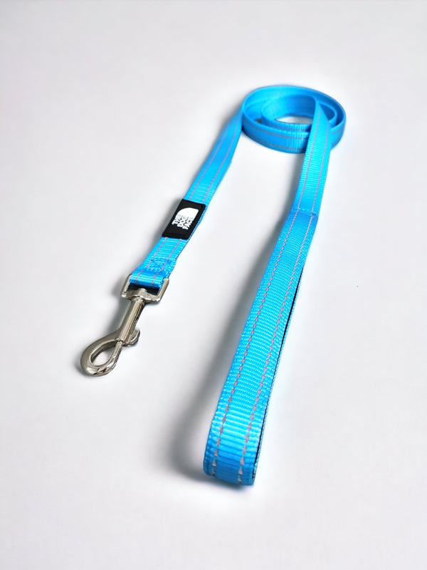 The Dog Face Reflective Leash - Blue