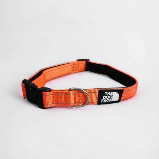 Padded Reflective Collar - Orange by The Dog Face