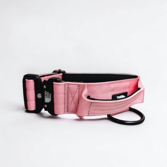 ‘Superior' Tactical Dog Collar - Pink