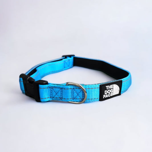 Padded Reflective Collar - Blue by The Dog Face