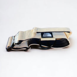 The Dog Face 'Superior' Tactical Dog Collar - Khaki Cream