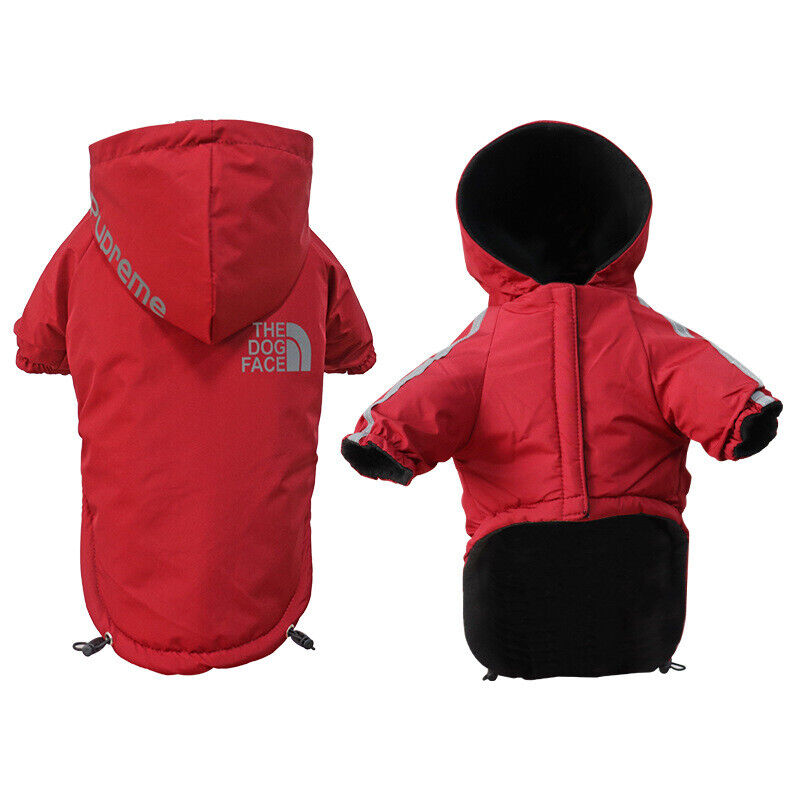 The Dog Face Padded Climate Jacket - Red
