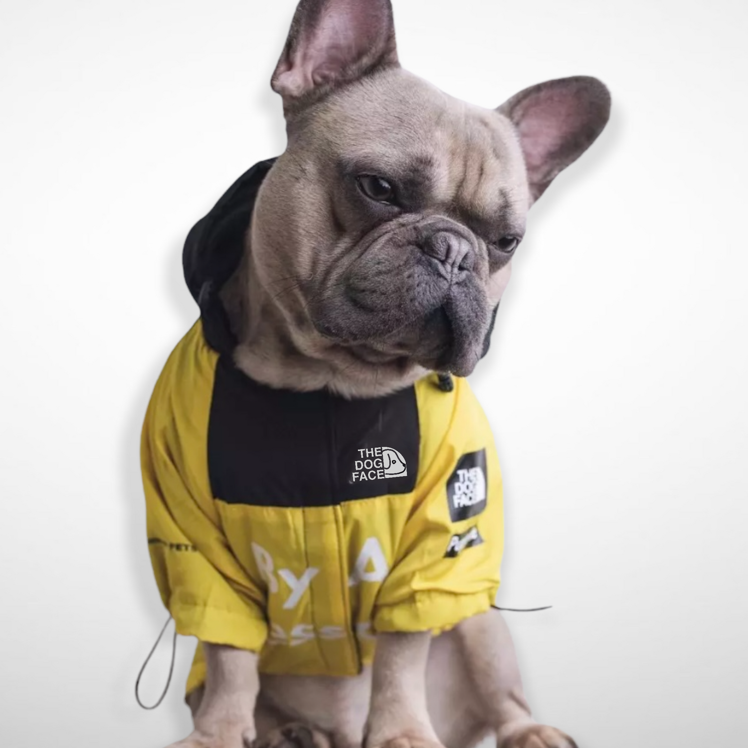 The Dog Face Jacket - Yellow | Wind / Rain Proof Dog Clothing – The Dog Face  UK