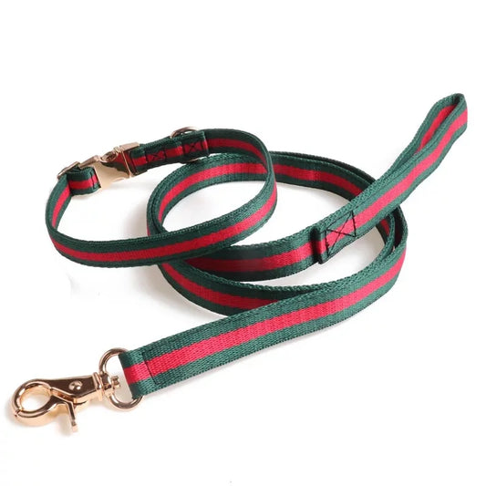 'Pucci' Band Leash and Collar Set