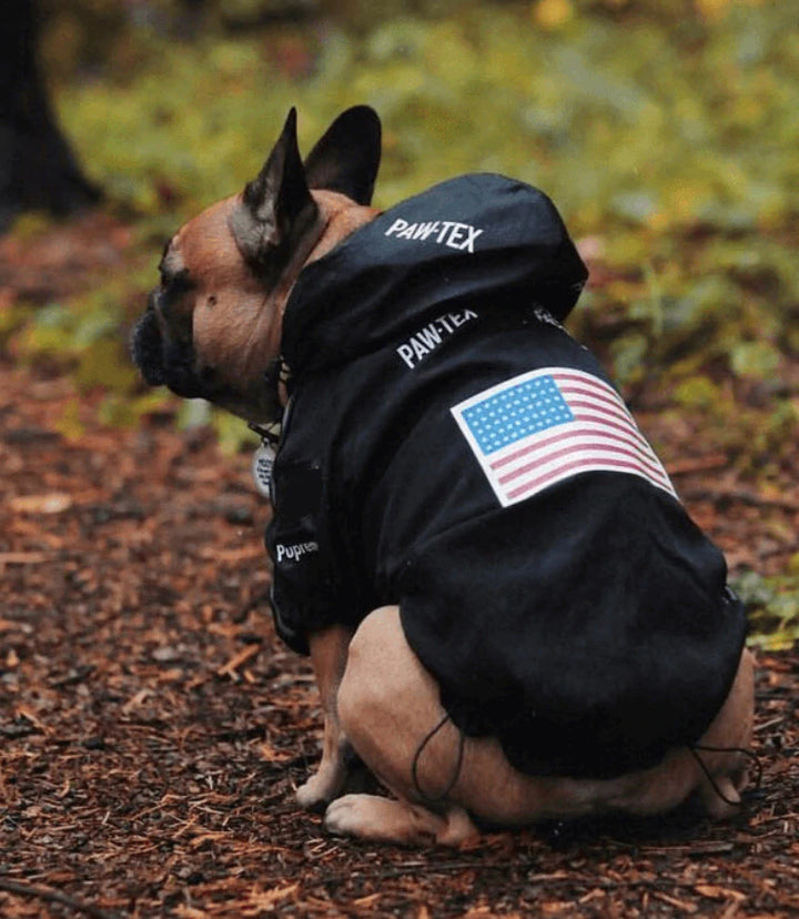 North Face Dog Jacket North Face Puffer Dog Jacket Designer The