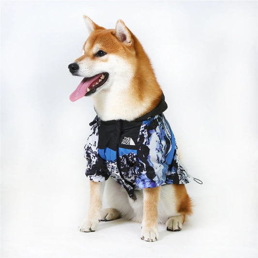 The Dog Face Jacket - Black / Mountain